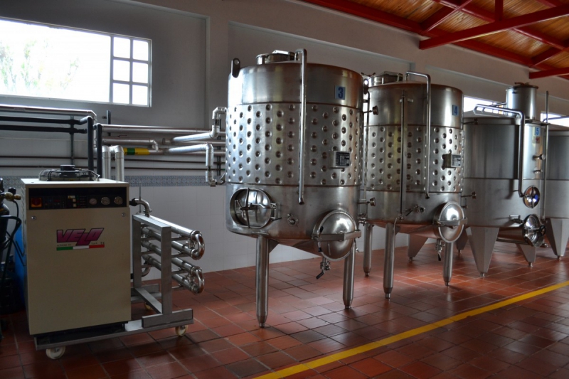 cave-NICE-min_wine_production_cantine_winery_drink_alcohol_vine_beverage-902036